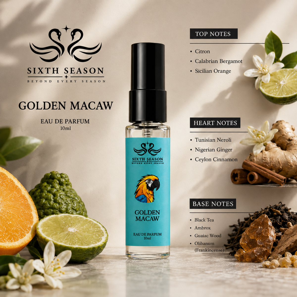 GOLDEN MACAW